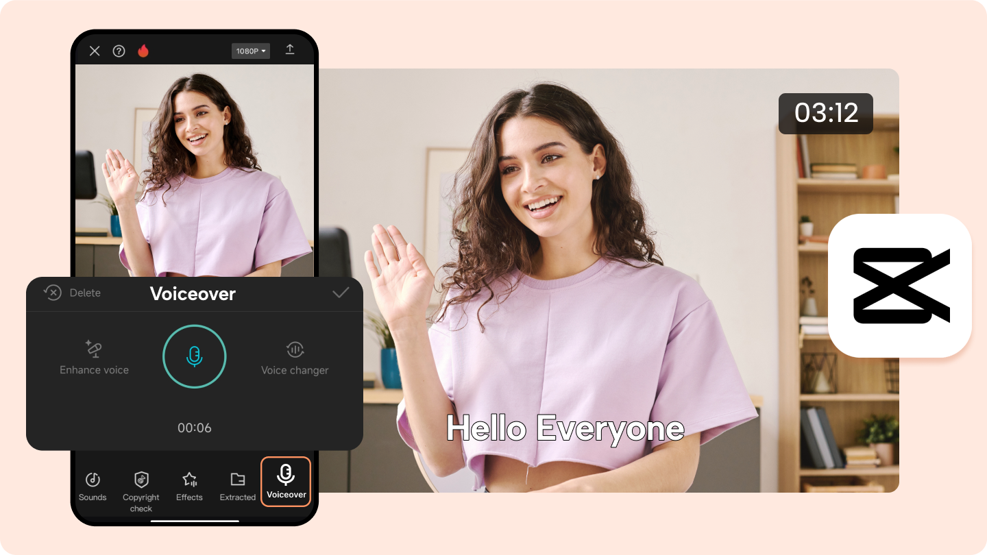 Seedance 2.0: Sign Language Overlay Options Guide